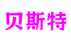 山东省青岛市贝斯特网络技术有限公司